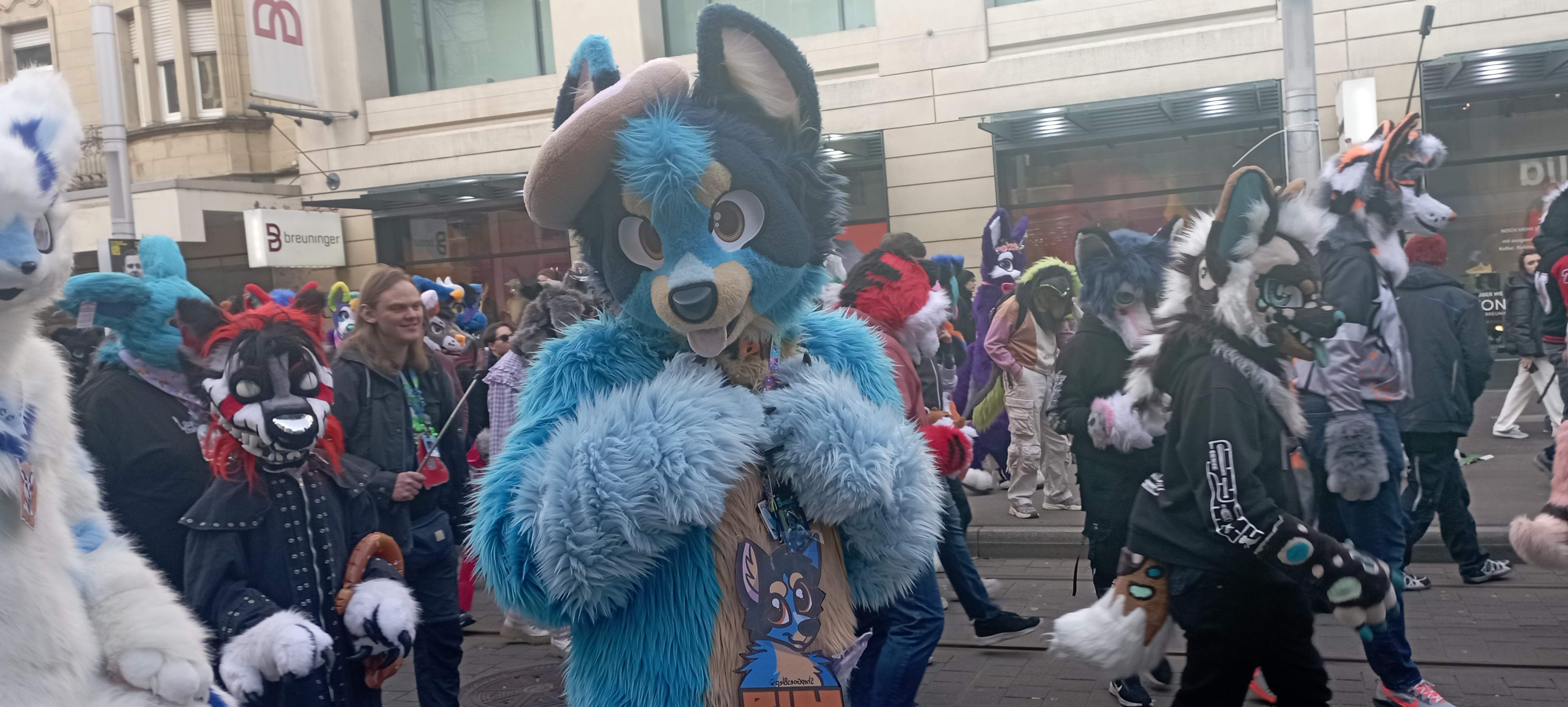 Fursuitwalk Bild 1